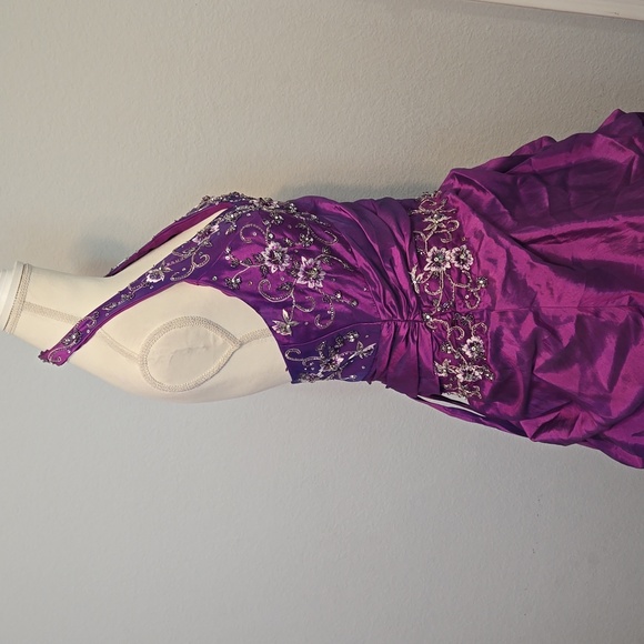 Cinderella Divine Size 18 Ball Gown - Picture 7 of 11